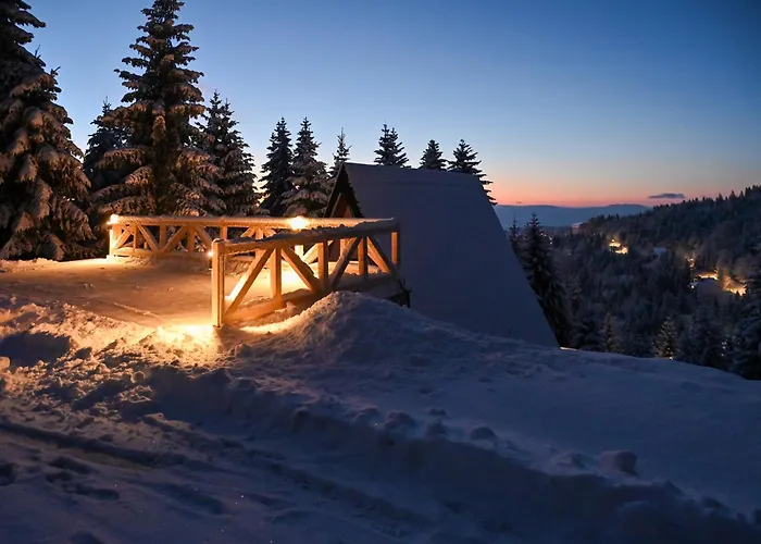 Tara Mountain House Дом отдыха Копаоник