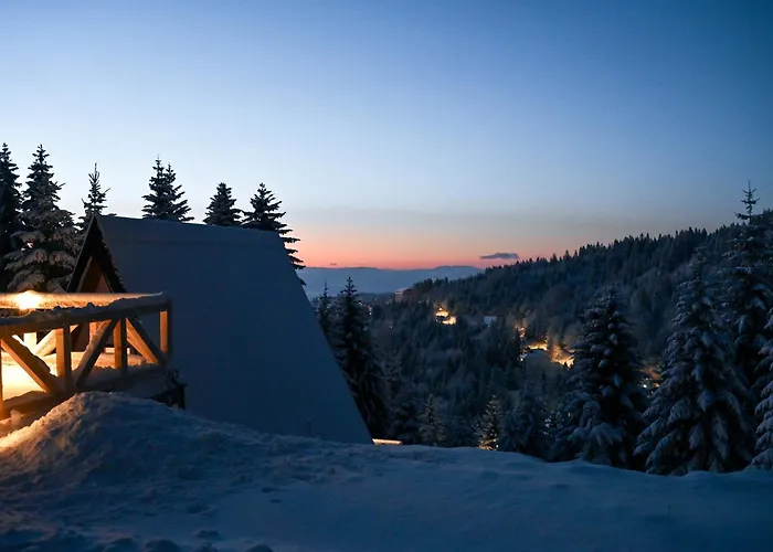 Tara Mountain House Дом отдыха Копаоник