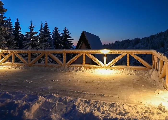 Дом отдыха Tara Mountain House Копаоник
