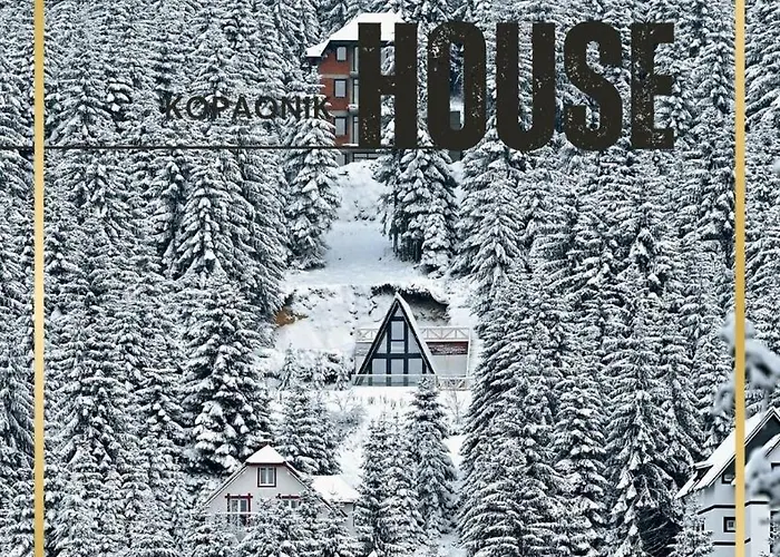 Tara Mountain House Дом отдыха *