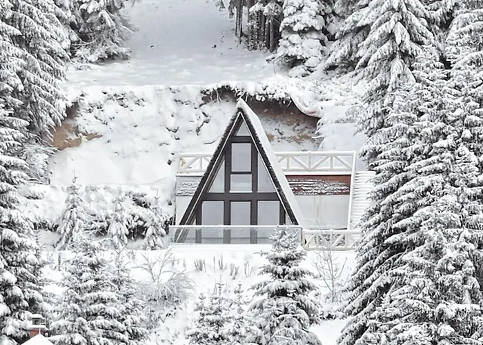 Tara Mountain House * Копаоник