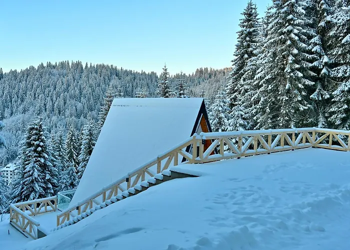 Tara Mountain House Дом отдыха