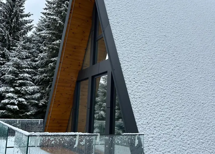 Tara Mountain House Дом отдыха *