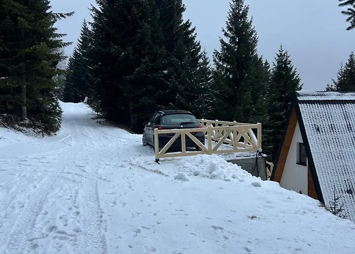 Дом отдыха Tara Mountain House