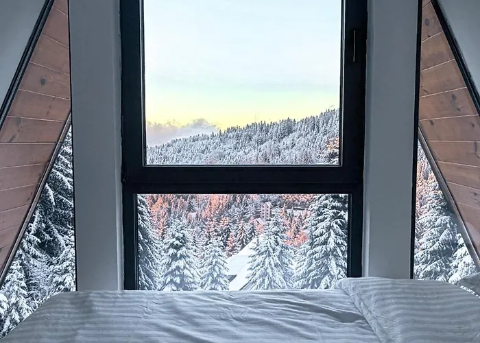 Tara Mountain House * Копаоник