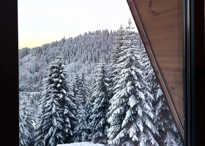 Дом отдыха Tara Mountain House