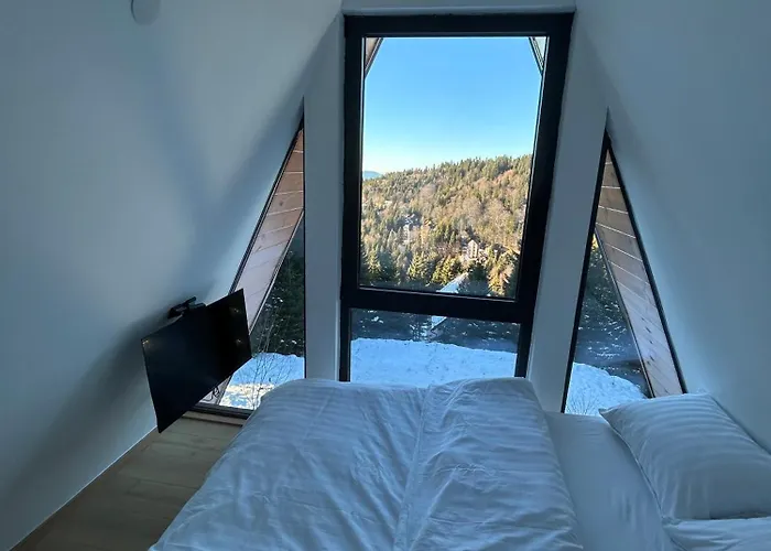 Дом отдыха Tara Mountain House